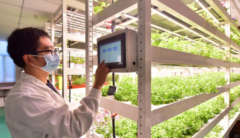 什(shén)麽是(shì)智慧農(nóng)業(yè)|智慧農(nóng)業(yè)系統平台